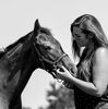 laequine
